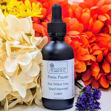 Blossom and Heal Logo